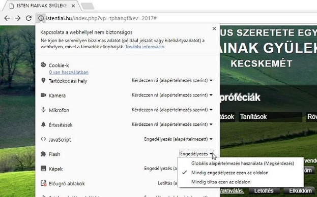 flash_chrome.jpg